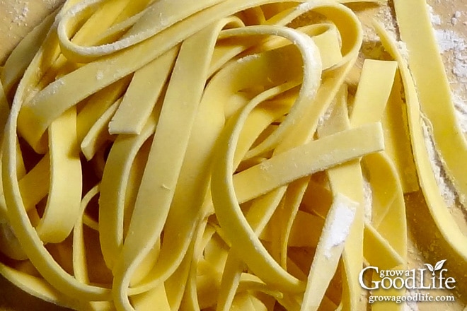 close up of homemade egg noodles