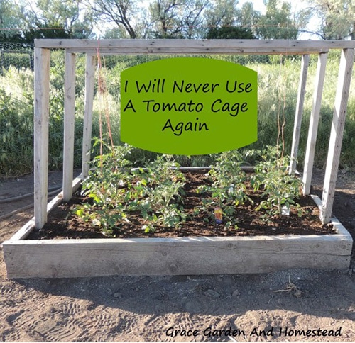 9 Creative Diy Tomato Trellis Ideas