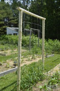 9 Creative DIY Tomato Trellis Ideas