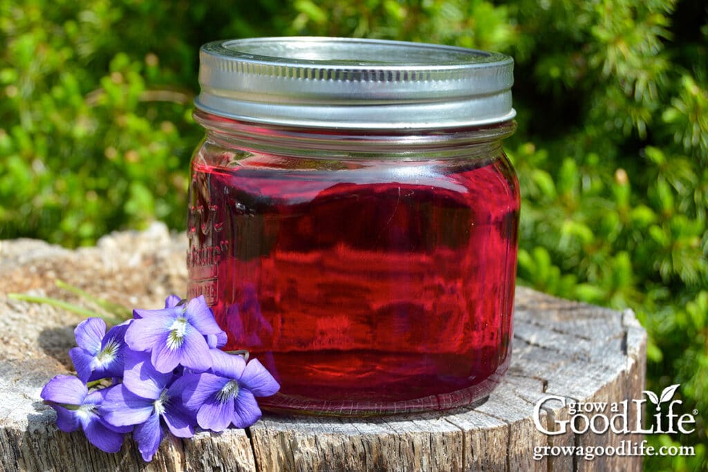 Strained wild violet vinegar in a glass jar showing bright pink color.