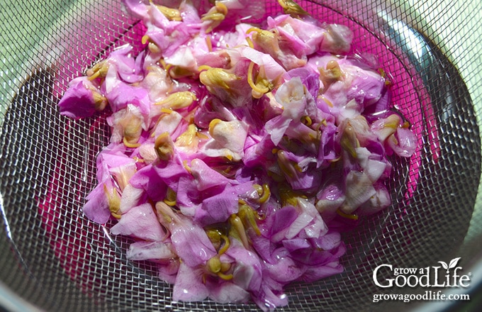 Overhead view of straining wild violet blossoms from infused vinegar into a bowl.