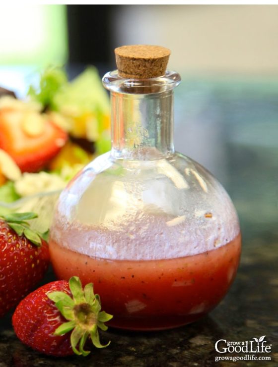 Fresh Strawberry Vinaigrette Salad Dressing