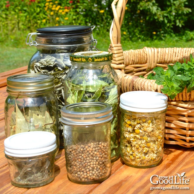 jars of dried herbs on a table