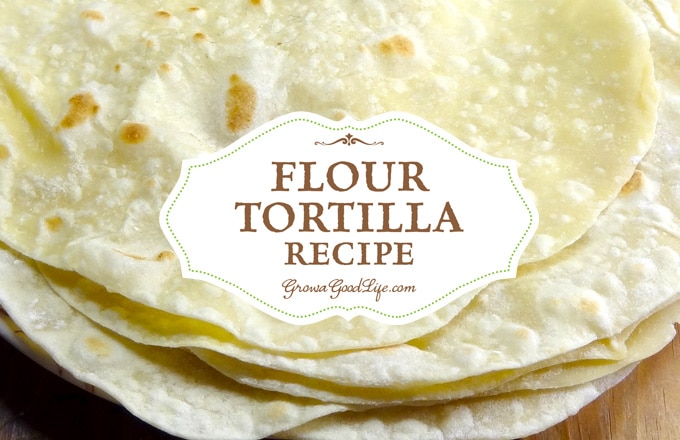 You need just four basic ingredients to make this flour tortilla recipe. Making homemade tortillas is worth the extra effort because they do taste so much better than store bought tortillas with no additives. Try this simple homemade flour tortilla recipe and you will know exactly what ingredients you will be eating.