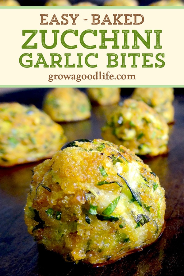 Zucchini Garlic Bites