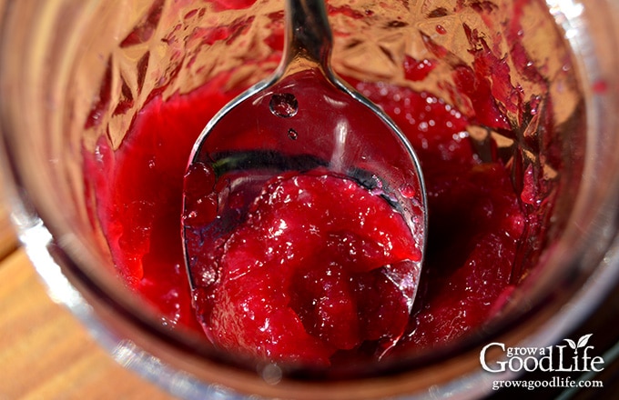 over head photo of a spoon of chokecherry jelly