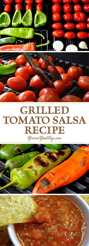 This tomato salsa recipe adds delicious depth of flavor from grilling the vegetables. The flavors transform to a delightful blend of sweet, smoky char, with a spicy kick that makes you crave for more. This tomato salsa recipe adds delicious depth of flavor from grilling the vegetables. The flavors transform to a delightful blend of sweet, smoky char, with a spicy kick that makes you crave for more.