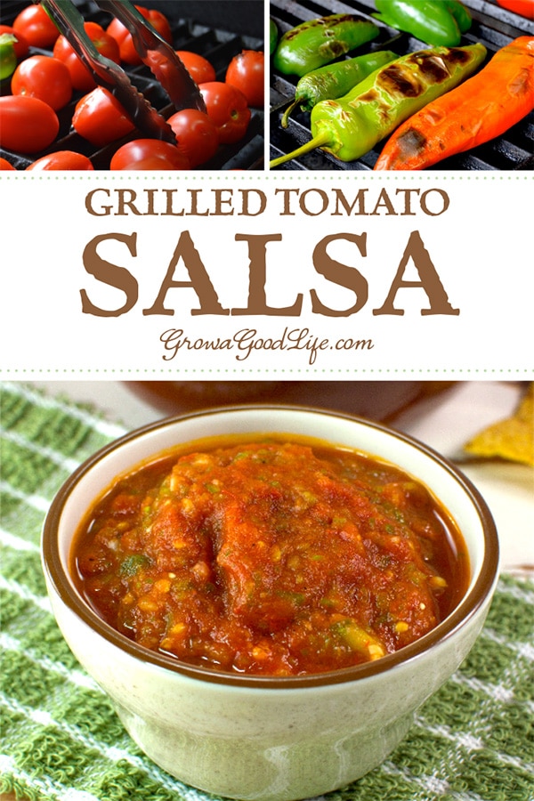 This tomato salsa recipe adds delicious depth of flavor from grilling the vegetables. The flavors transform to a delightful blend of sweet, smoky char, with a spicy kick that makes you crave for more.