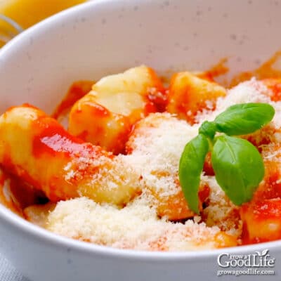 closeup of a bowl of ricotta gnocchi