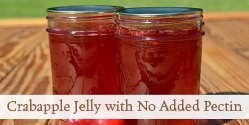 Crabapple Jelly with No Added Pectin