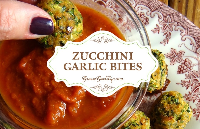 This tasty zucchini garlic bites recipe combines shredded zucchini with garlic, Parmesan cheese, fresh herbs, and is served with a marinara dipping sauce for an Italian inspired twist.