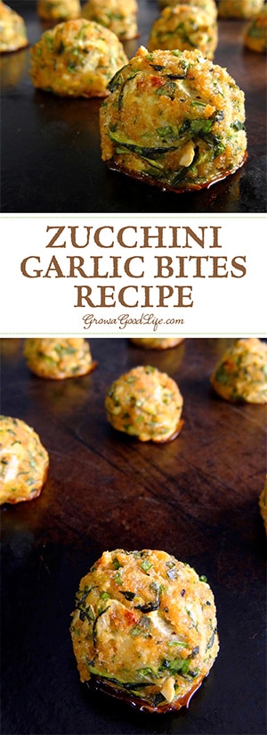 This tasty zucchini garlic bites recipe combines shredded zucchini with garlic, Parmesan cheese, fresh herbs, and is served with a marinara dipping sauce for an Italian inspired twist. This tasty zucchini garlic bites recipe combines shredded zucchini with garlic, Parmesan cheese, fresh herbs, and is served with a marinara dipping sauce for an Italian inspired twist.