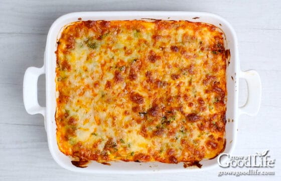 Garden Fresh Zucchini Lasagna