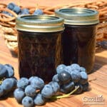 jars of grape jelly and grapes on a table