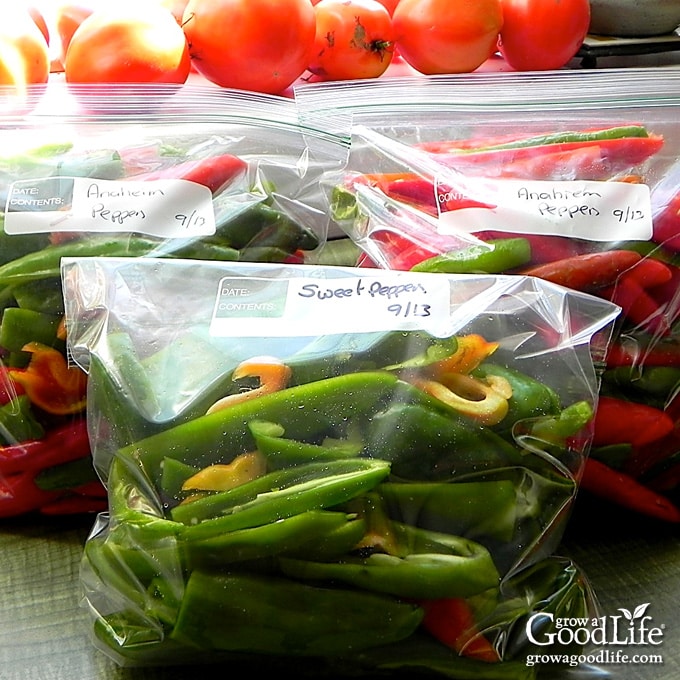 Freezer bags filled with sliced and whole peppers labeled and ready for storage.