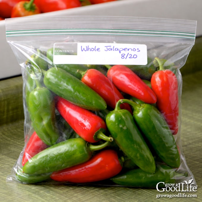Whole red and green jalapeño peppers packed into a labeled freezer bag for freezing.