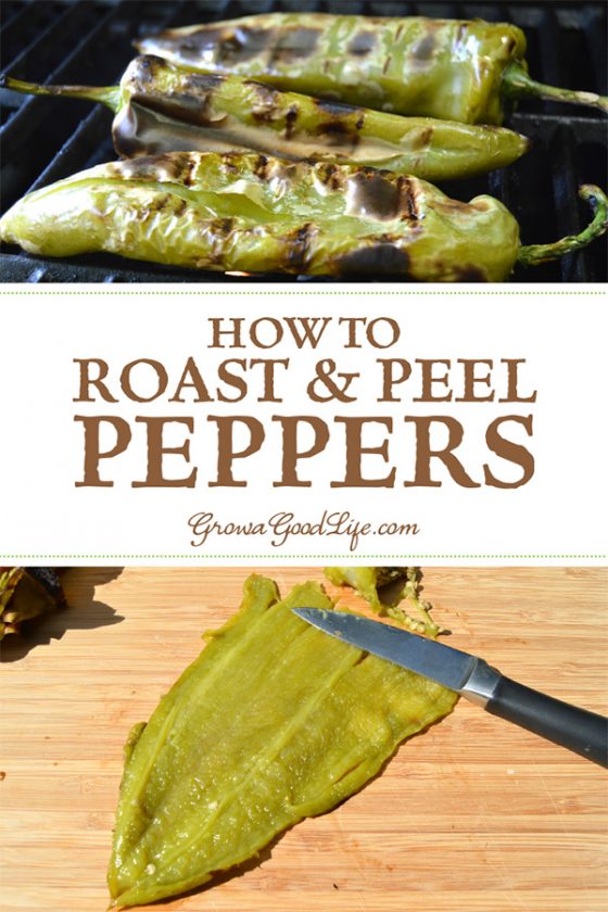 How to Roast and Peel Peppers Step by Step
