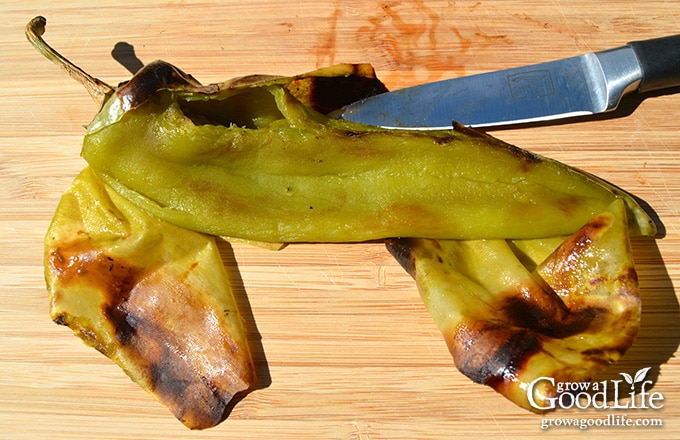 peeling charred skin of a chile pepper