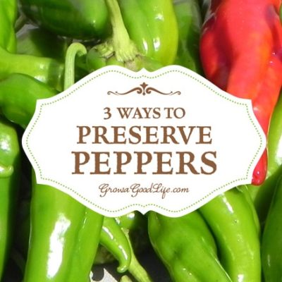 Even if you don’t grow your own peppers, consider purchasing in bulk from local growers at your farmer’s market and preserve peppers to enjoy all year.