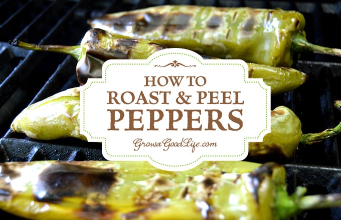 To Quick-Roast and Peel Peppers