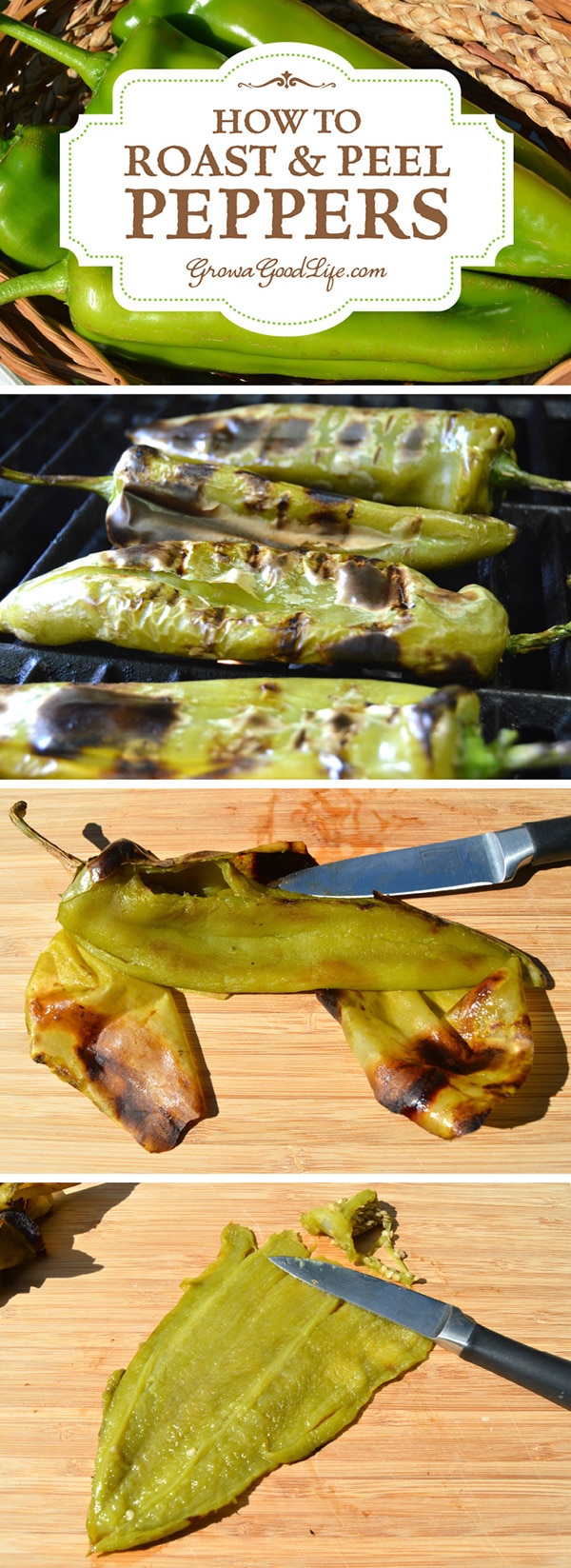 How to Roast and Peel Peppers Step by Step