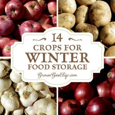 14 Crops for Winter Food Storage