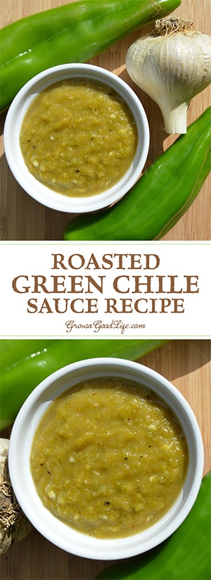 This roasted green chile sauce pairs perfectly with Mexican inspired dishes, including burritos, enchiladas, tamales, and more. This roasted green chile sauce pairs perfectly with Mexican inspired dishes, including burritos, enchiladas, tamales, and more.
