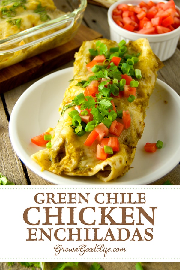 These green chile chicken enchiladas are made from flavor infused, slow cooked shredded chicken, roasted green chile sauce, and rolled up in a homemade tortilla. Topped with more green chile sauce, Mexican cheese, fresh tomatoes, and cilantro.