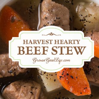 Is there anything that screams comfort food more than your classic beef stew? I call this “Harvest Hearty Beef Stew” because it is filled with vegetables and herbs harvested from our garden. This recipe takes advantage of slow cooking in a crockpot allowing the flavors to infuse and the beef to transform to a tender, melt in your mouth morsel.
