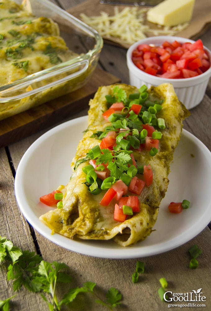 Chicken Enchiladas with Roasted Green Chile Sauce