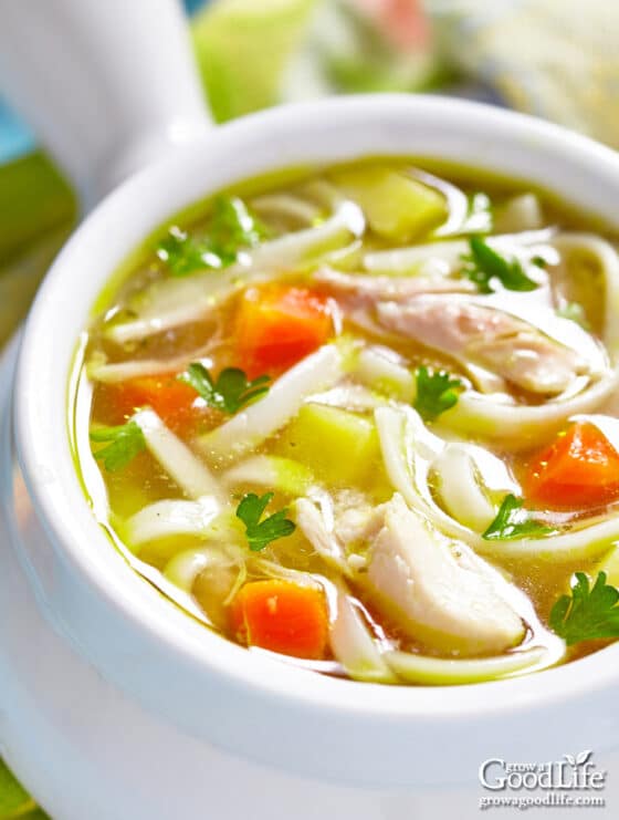 Homemade Turkey Noodle Soup