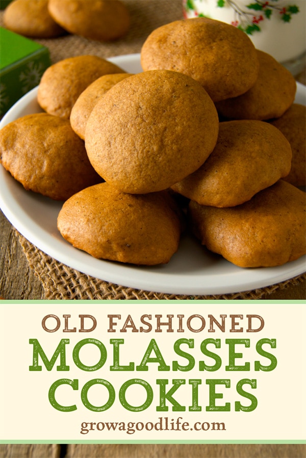 plate of molasses cookies on a table