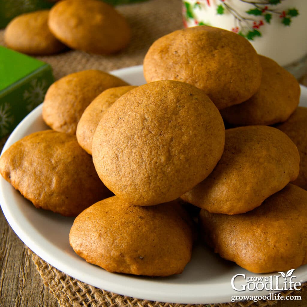 A plate of old-fashioned soft molasses cookies ready to enjoy with milk or coffee.