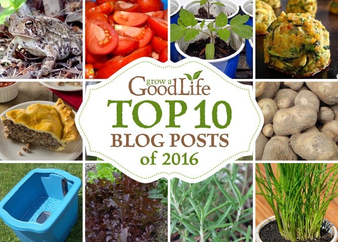 Grow a Good Life’s Top 10 Posts of 2016