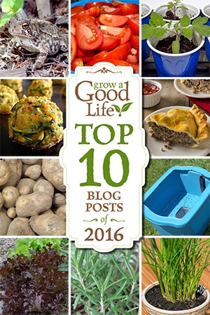 Here is some of the best content from Grow a Good Life over this past year. These are the top 10 gardening and simple living posts that you have viewed, pinned, and shared during 2016.