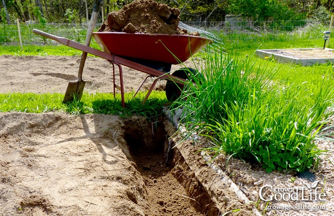 Planting potatoes the Grow Biointensive way involves double-dug beds, feeding the soil with compost, and planting closely to conserve spacing and create a microclimate.