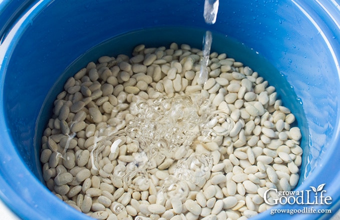adding water to the dried beans in a slowcooker crock