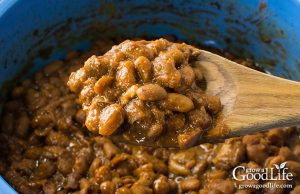 Slow Cooker New England Baked Beans