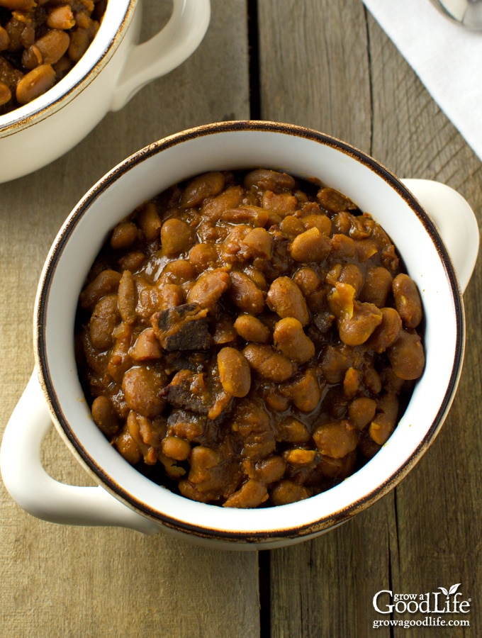 This traditional New England Baked Beans recipe is made from simple ingredients and tastes delicious. Use your crockpot and let it simmer all day.