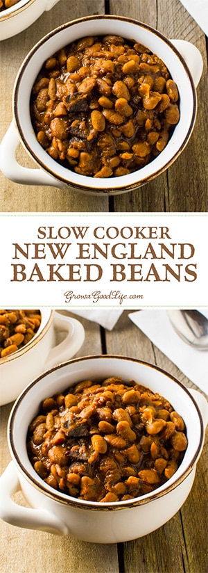 Skip the can and simmer your own homemade baked beans in your crock pot or slow cooker. With a few simple ingredients and time, you can make a delicious, slow cooked New England style baked bean dinner. Skip the can and simmer your own homemade baked beans in your crock pot or slow cooker. With a few simple ingredients and time, you can make a delicious, slow cooked New England style baked bean dinner.