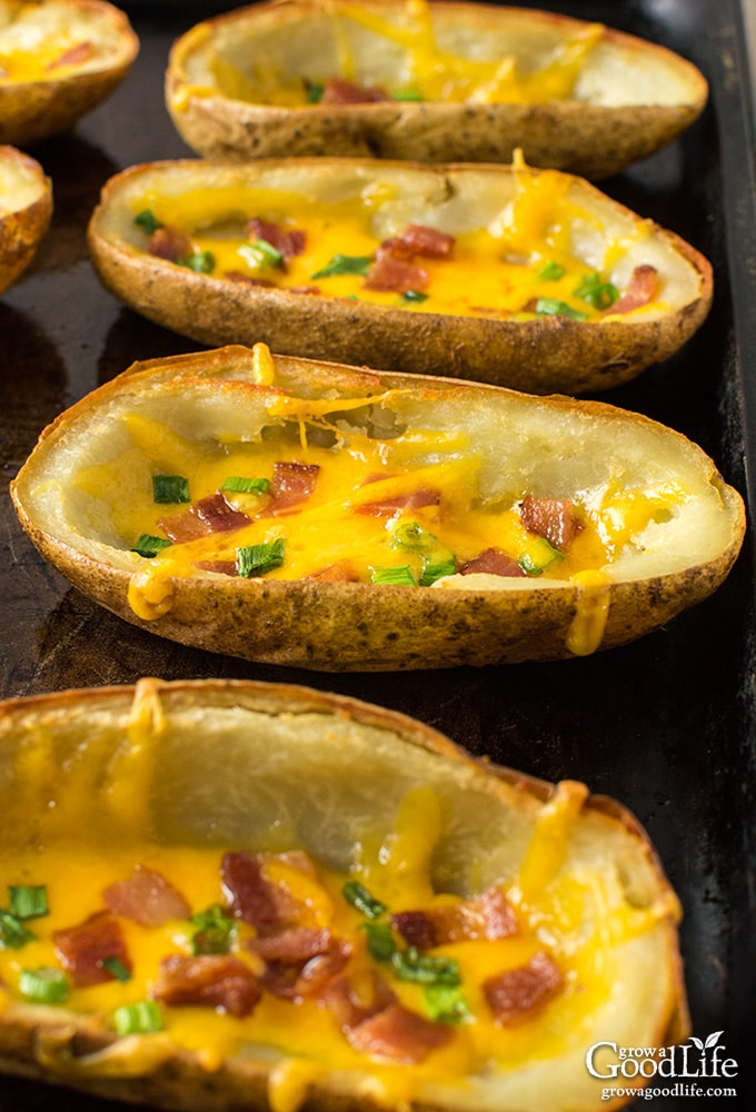 cooked cheddar bacon potato skins on a baking tray