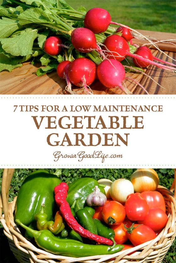 7 Tips for a Low-Maintenance Vegetable Garden