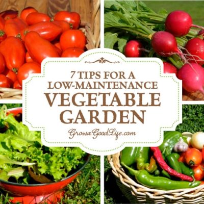 7 Tips for a Low-Maintenance Vegetable Garden