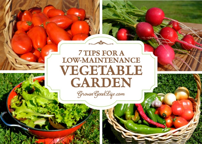 7 Tips for a Low-Maintenance Vegetable Garden