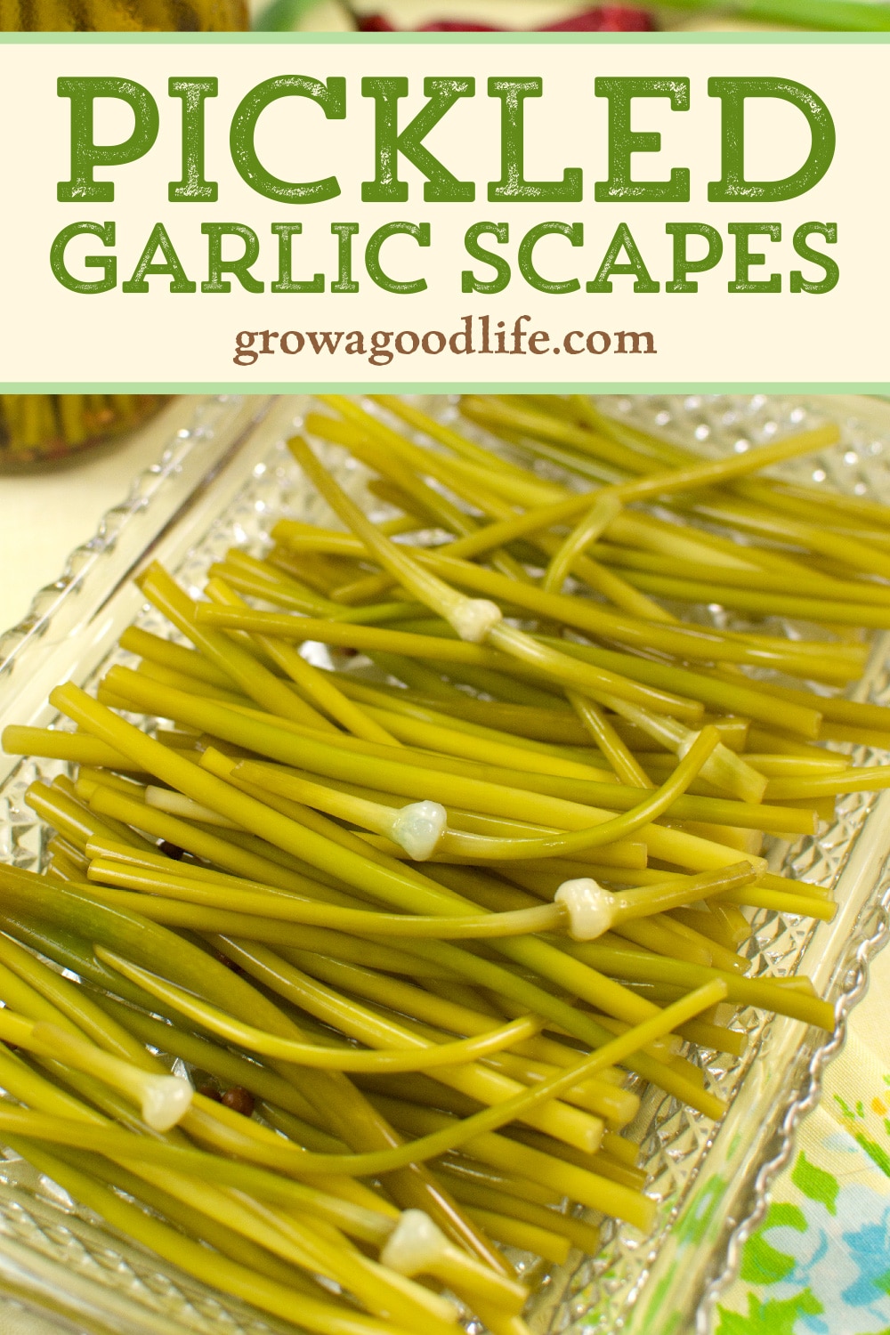Pickled Garlic Scapes Recipe