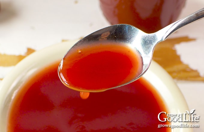 over head image of a spoon of cherry sweet and sour sauce