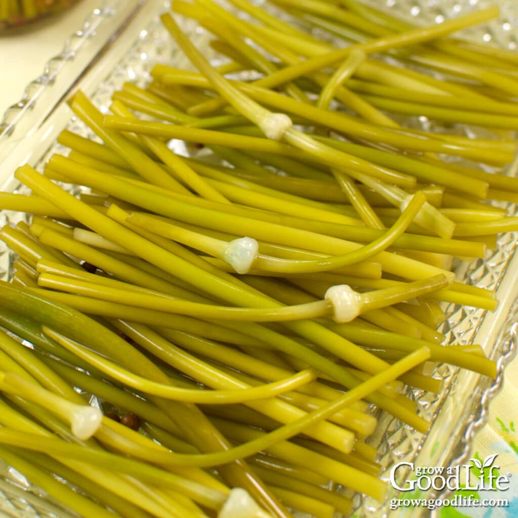 Pickled garlic scapes served on a pickle tray.