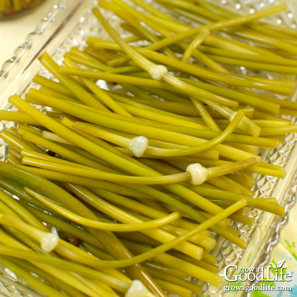 Pickled garlic scapes served on a pickle tray.