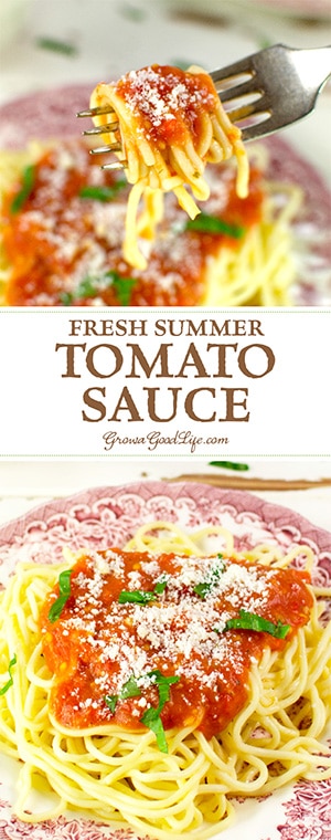 This summer tomato sauce recipe combines vine-ripened tomatoes with onions, garlic and fresh Italian herbs. It is a classic marinara sauce that comes together in about an hour.