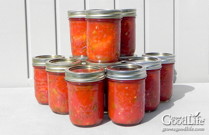 Quick and Easy Mason Jar Salsa - I Wash You Dry